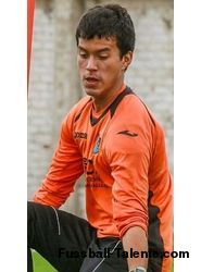 Ignacio Antonio Araujo Anticona